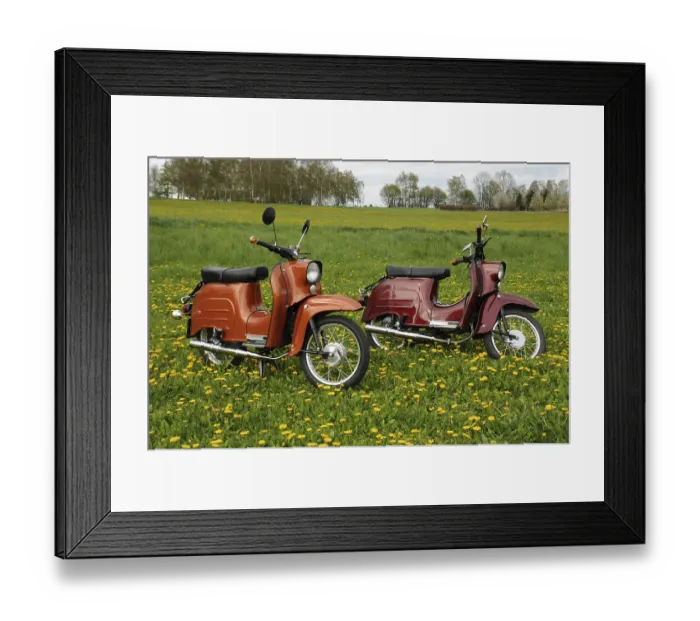 Framed Print : Mopeds Schwalbe from the GDR in a meadow Framed Print : Mopeds Schwalbe from the GDR in a meadow