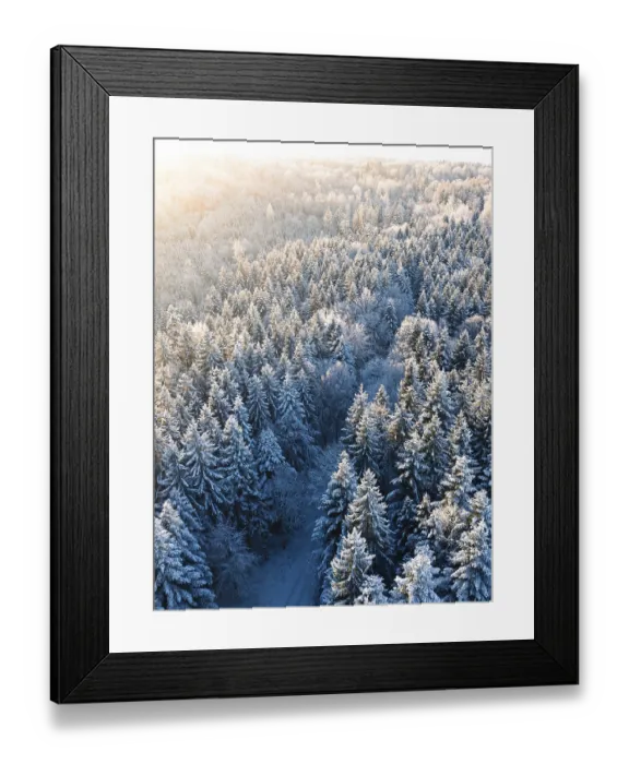 Framed Print : The first rays of sunshine of the day break through the snow-covered trees of the forest