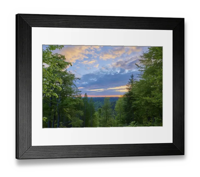 Framed Print : Low mountain landscape, deciduous forest
