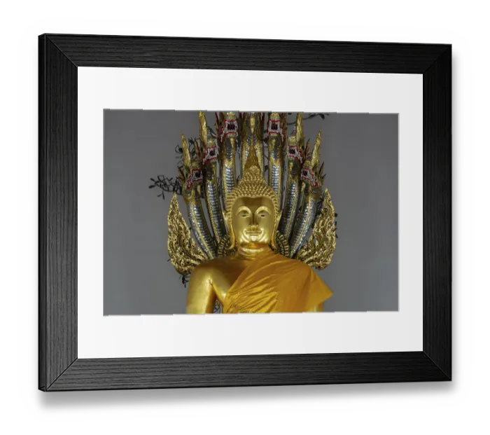 Framed Print : Gilded Buddha statue, Bhumispara-mudra