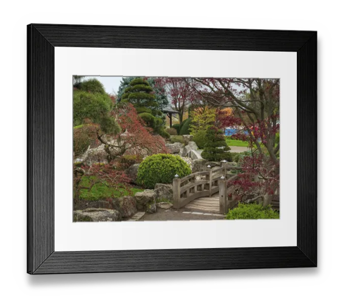 Framed Print : Landscape, park, trees, shrubs