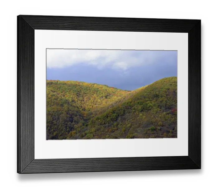 Framed Print : Sun shining on the autumnal deciduous forest of the Moselle heights