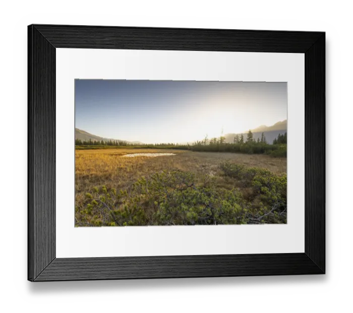 Framed Print : A wide landscape with a field and trees under a clear sky at sunset Framed Print : A wide landscape with a field and trees under a clear sky at sunset