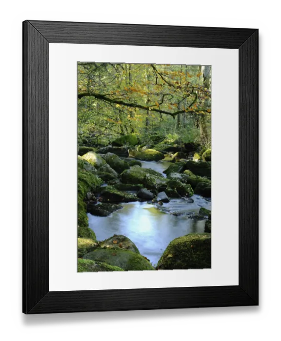 Framed Print : A quiet river flows through an autumnal