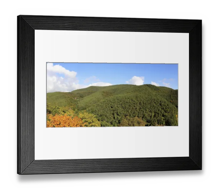 Framed Print : Panoramic picture of the Palatinate Forest in autumn Framed Print : Panoramic picture of the Palatinate Forest in autumn