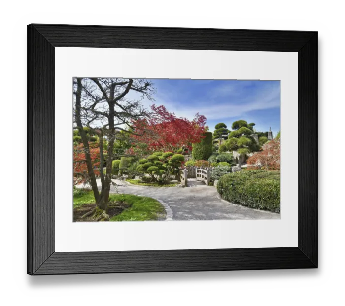 Framed Print : Freiburg, Germany, April 2022: Japanese garden in public park called Seepark