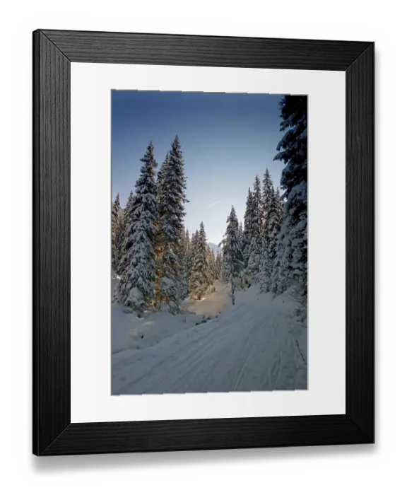 Framed Print : Snow-covered forest, Austria, Europe Framed Print : Snow-covered forest, Austria, Europe