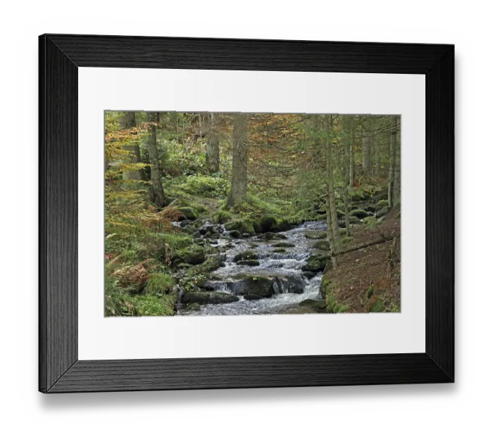 Framed Print : Forest stream with flowing water