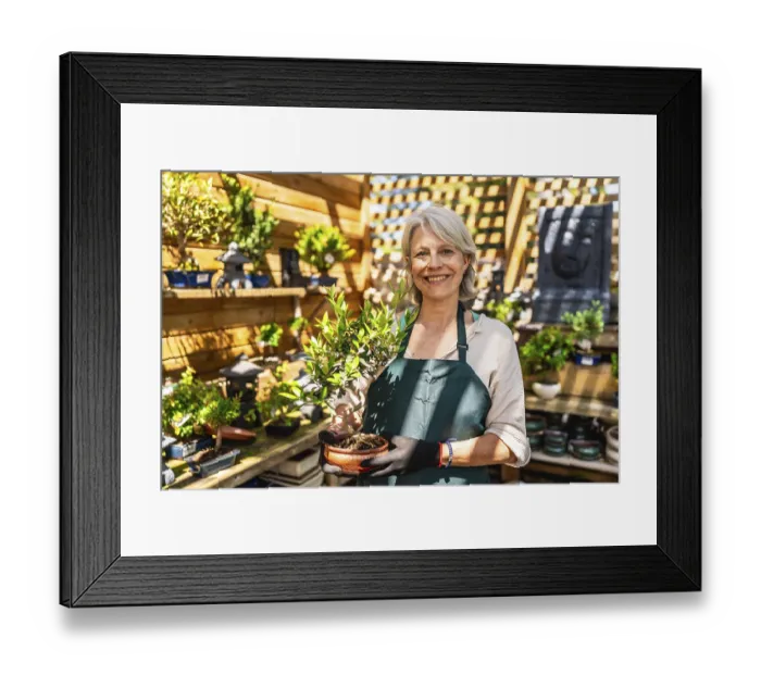 Framed Print : Senior gardener woman smiling while holding a small bonsai tree in a vibrant shop
