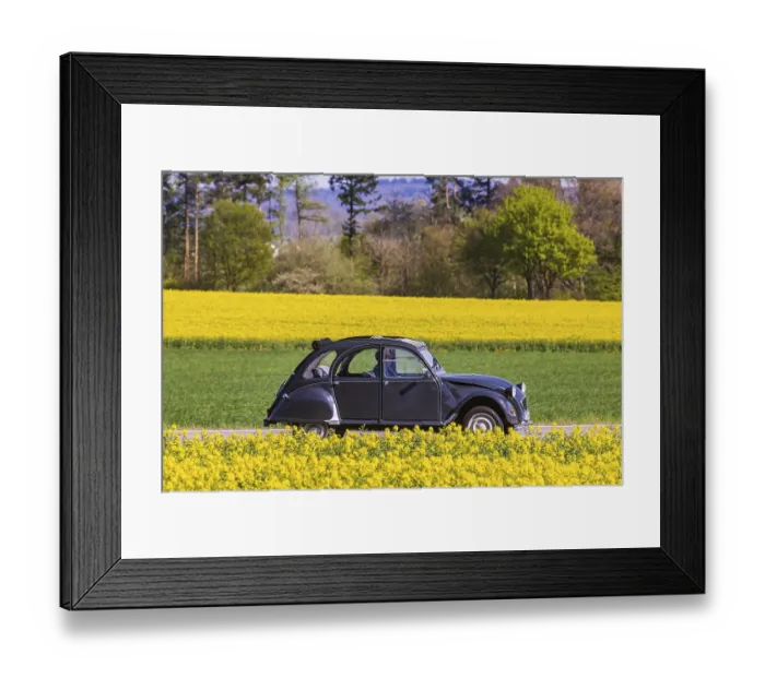 Framed Print : Country road with Citroen 2CV Ente car on the Swabian Alb with rape field in bloom Framed Print : Country road with Citroen 2CV Ente car on the Swabian Alb with rape field in bloom