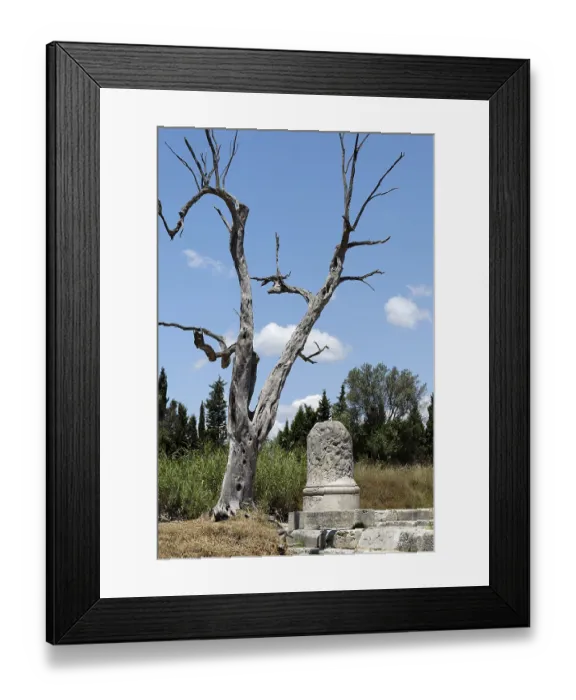 Framed Print : Remains of the temple of Zeus of the antique town Locroi