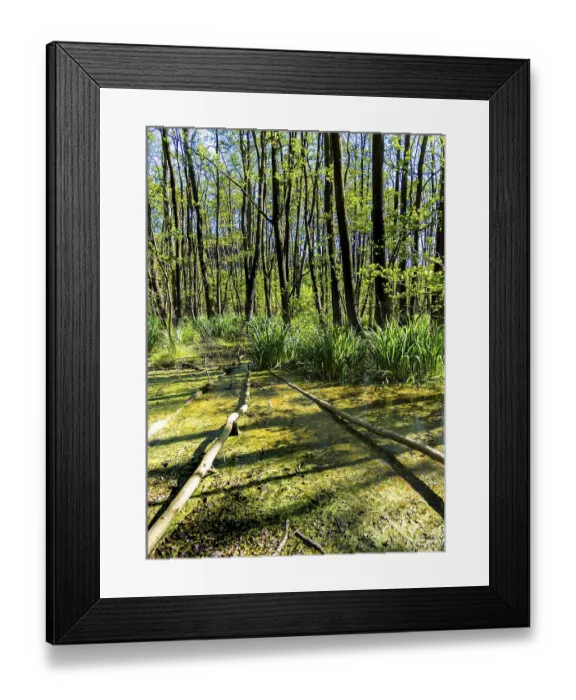 Framed Print : Landscape and nature around Berlin