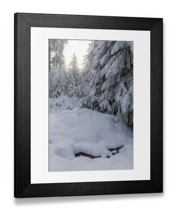 Framed Print : Enchanting winter forest on the Auersberg Framed Print : Enchanting winter forest on the Auersberg
