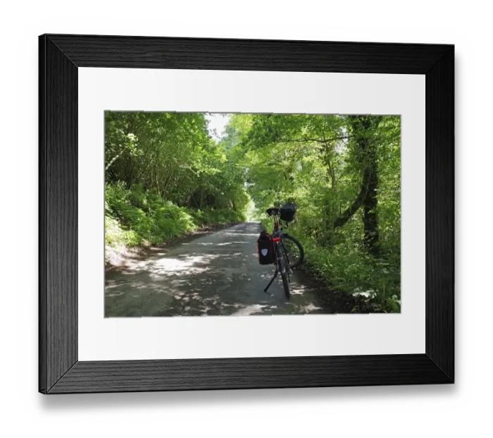 Framed Print : Cycling along a shady forest path surrounded by lush greenery Framed Print : Cycling along a shady forest path surrounded by lush greenery