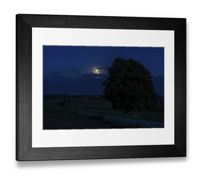 Framed Print : Full moon at the winter lime tree (Tilia cordata) near Leubsdorf
