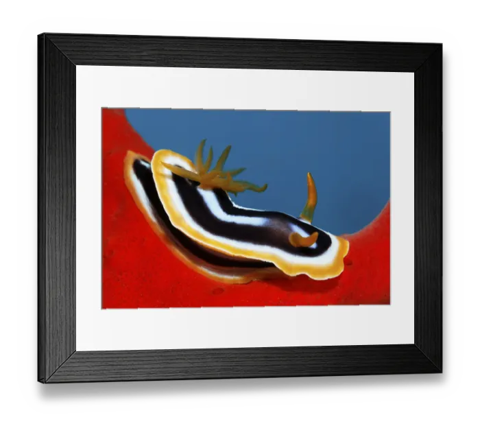 Framed Print : Magnificent Fire Sponge, (Latrunculia magnifica)