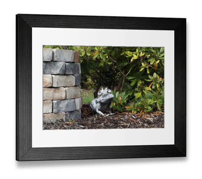 Framed Print : Frog king, frog with crown at the fountain Framed Print : Frog king, frog with crown at the fountain
