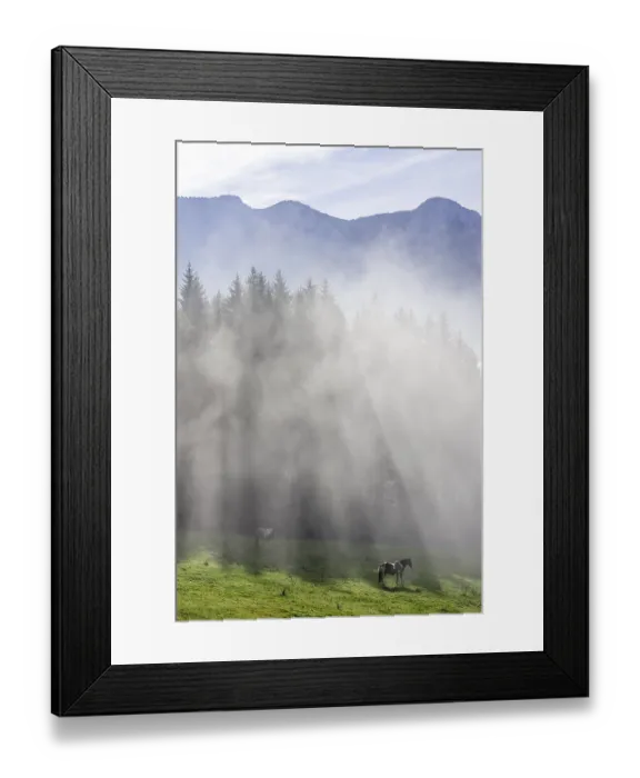 Framed Print : Horse on pasture and fog at the Hochsteinalm