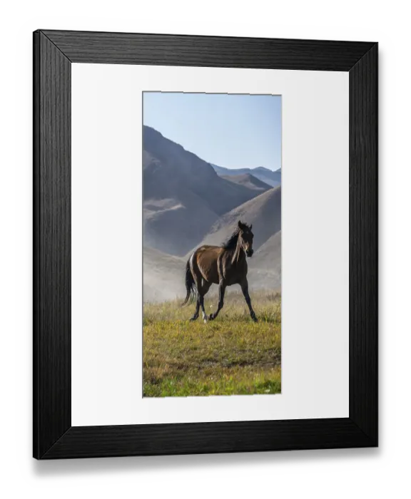 Framed Print : Horse galloping over a hill, mountains behind Framed Print : Horse galloping over a hill, mountains behind