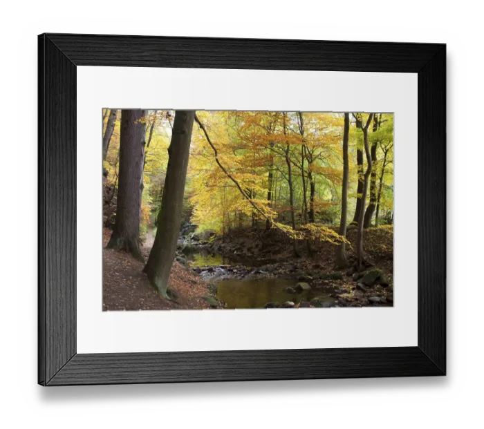 Framed Print : Ilse river in autumn, Ilsetal valley