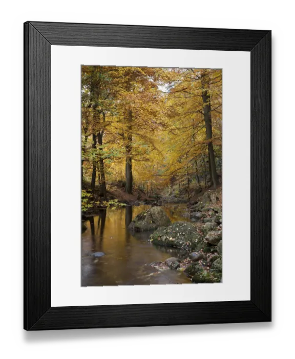 Framed Print : Ilse river in autumn, Ilsetal valley