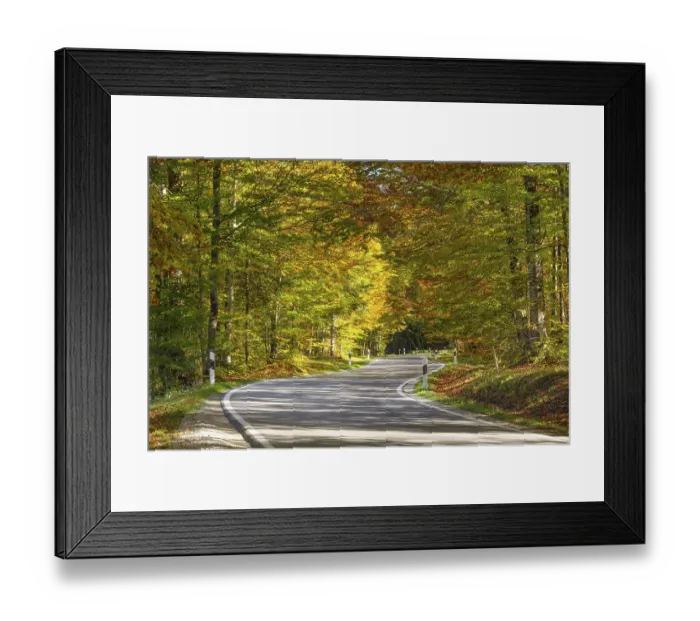 Framed Print : Road through autumnal forest, Upper Bavaria Framed Print : Road through autumnal forest, Upper Bavaria