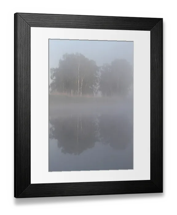 Framed Print : Birch forest near the shore in the fog on the Trebel River with reflection in the water