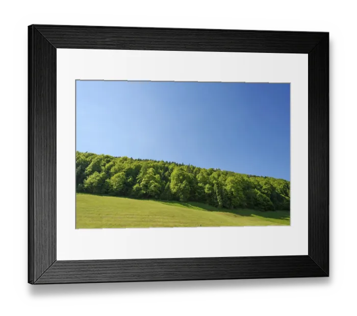 Framed Print : Deciduous trees in spring, Bavaria