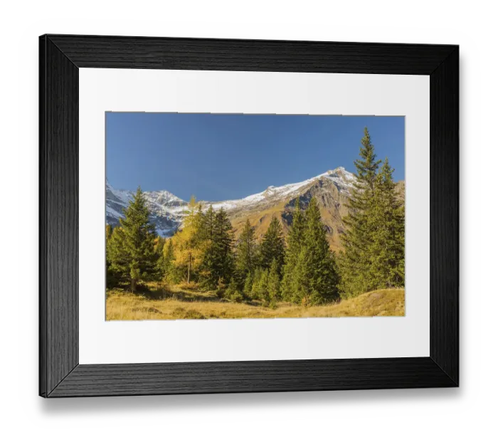 Framed Print : View of an autumnal virgin forest with small ponds
