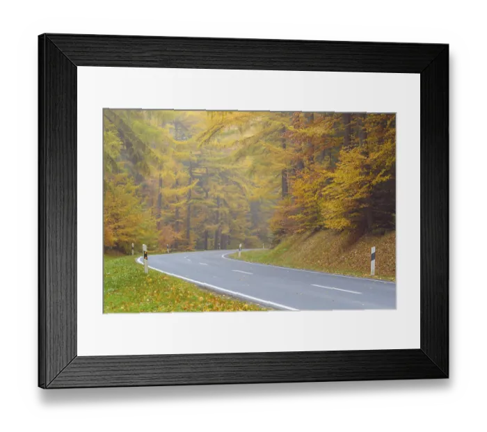 Framed Print : Country Road in Beech Forest, Autumn