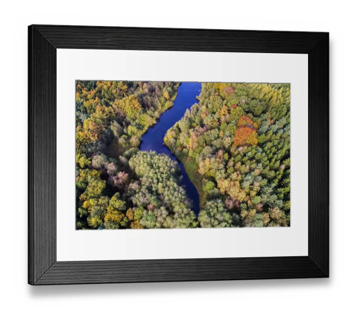Framed Print : Mixed forest in autumn, colouring