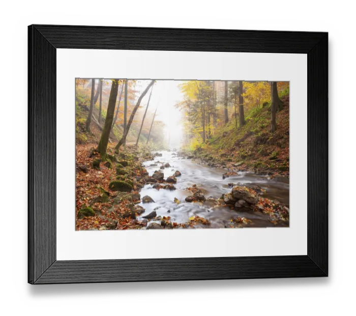 Framed Print : Zellerache flows through autumn forest in morning mist Framed Print : Zellerache flows through autumn forest in morning mist