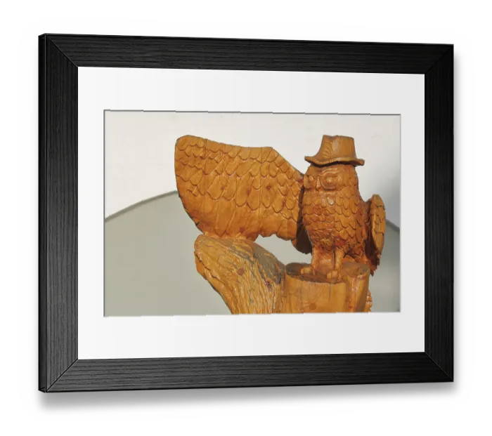 Framed Print : Owl figure with hat on the adventure trail