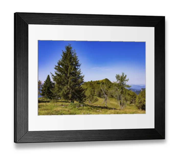 Framed Print : Mountain forest on the way to the summit of the Einberg