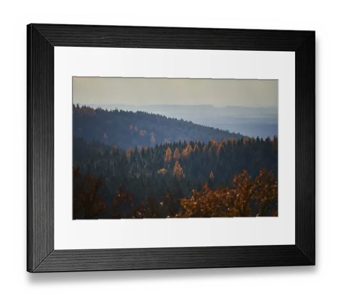 Framed Print : View over the trees and forest of the front bavarian forest in autumn near Wiesent