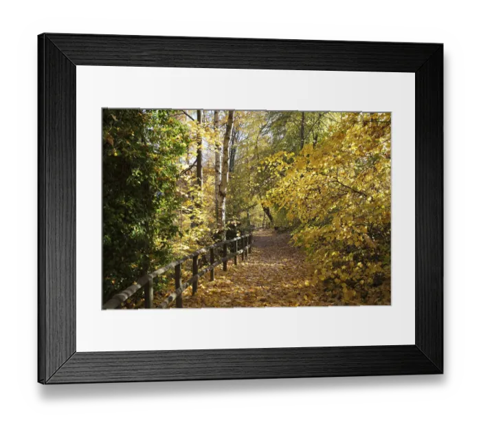 Framed Print : Way to the Pfalzgarten, grounds of the Kaiserpfalz Framed Print : Way to the Pfalzgarten, grounds of the Kaiserpfalz
