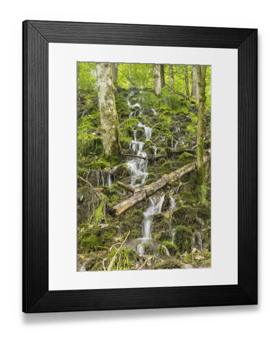 Framed Print : Small waterfalls on a wooded slope of the Wutach near the Schattenmuehle Framed Print : Small waterfalls on a wooded slope of the Wutach near the Schattenmuehle