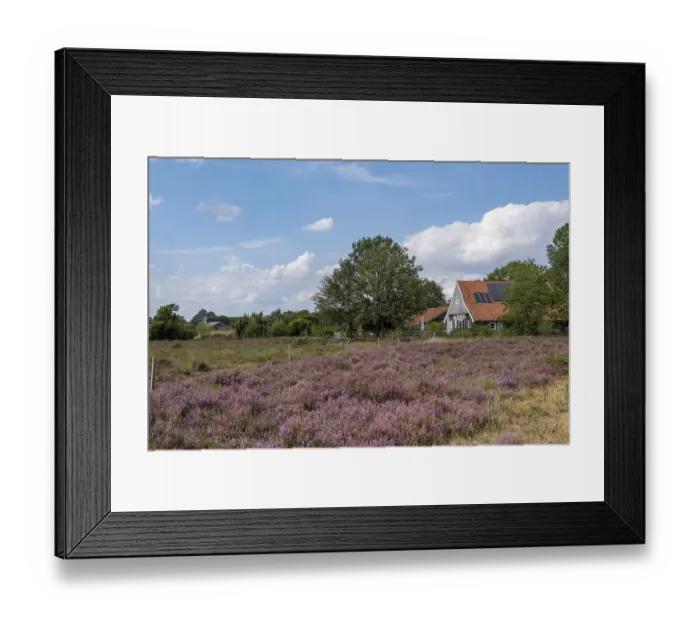 Framed Print : Buurserzand nature reserve, De Wakel information centre at the back right