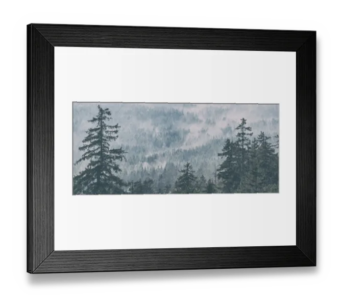 Framed Print : Panorama, clouds of fog drift through endless spruce forest Framed Print : Panorama, clouds of fog drift through endless spruce forest