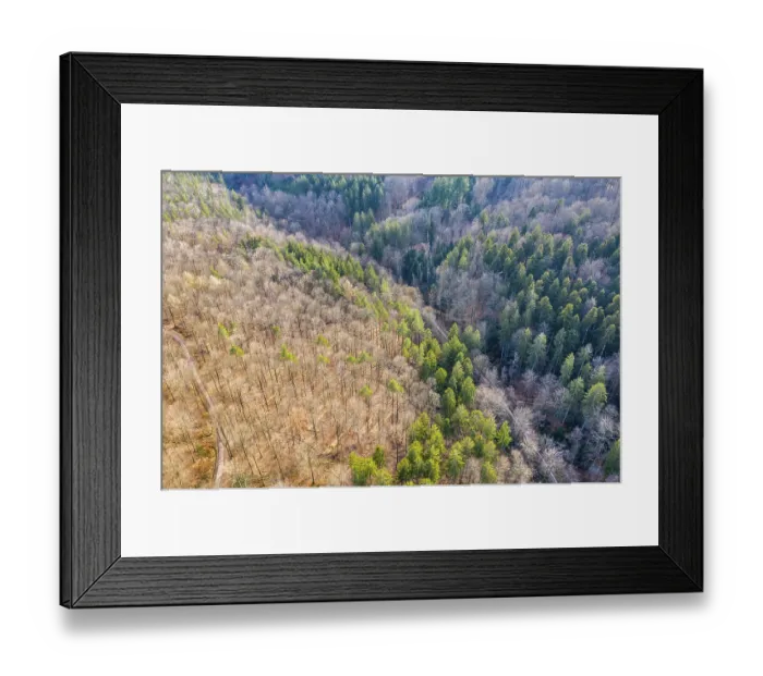 Framed Print : Drone image, Swabian Forest, mixed forest Framed Print : Drone image, Swabian Forest, mixed forest