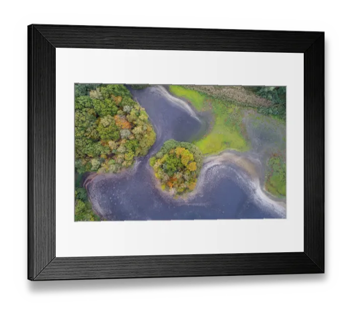 Framed Print : Mixed forest in autumn, colouring