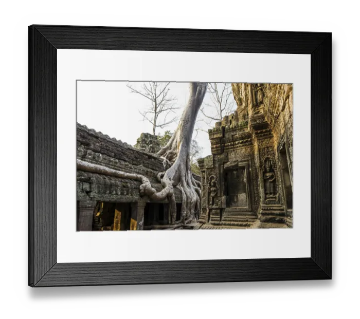 Framed Print : Ta Prohm, Angkor Wat, Angkor, UNESCO World Heritage Site
