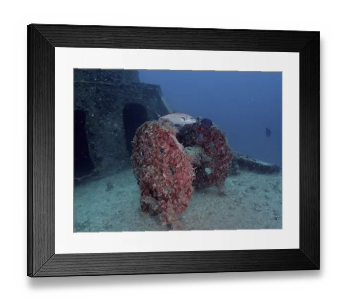Framed Print : An abandoned underwater wreck covered in marine life with a fish swimming by Framed Print : An abandoned underwater wreck covered in marine life with a fish swimming by