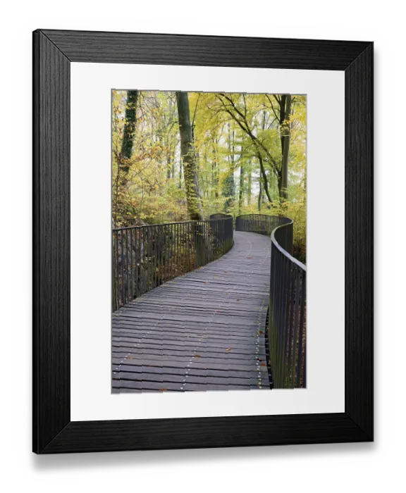 Framed Print : Curved pedestrian bridge in the Felsenmeer nature reserve