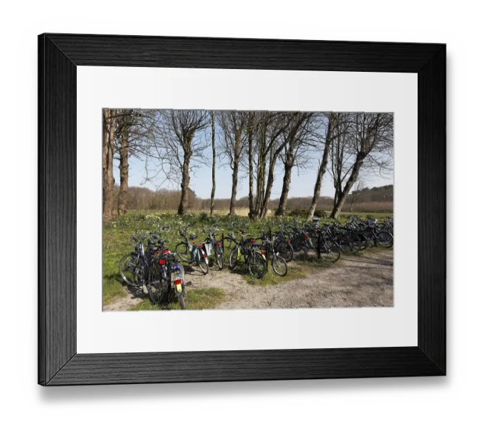 Framed Print : Full bicycle parking area in a spring landscape near Domburg