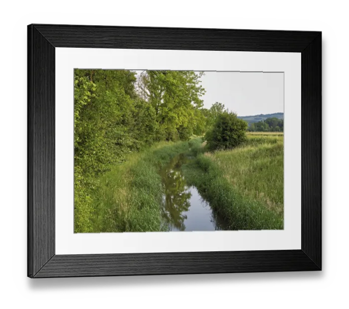 Framed Print : Small stream leads through forest with English oaks