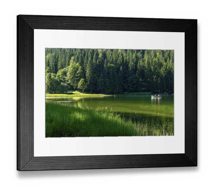 Framed Print : Spitzingsee, mountain lake with pond horsetail