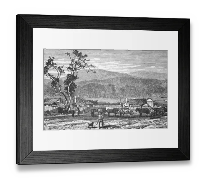 Framed Print : A squatter settlement, around 1870 Framed Print : A squatter settlement, around 1870