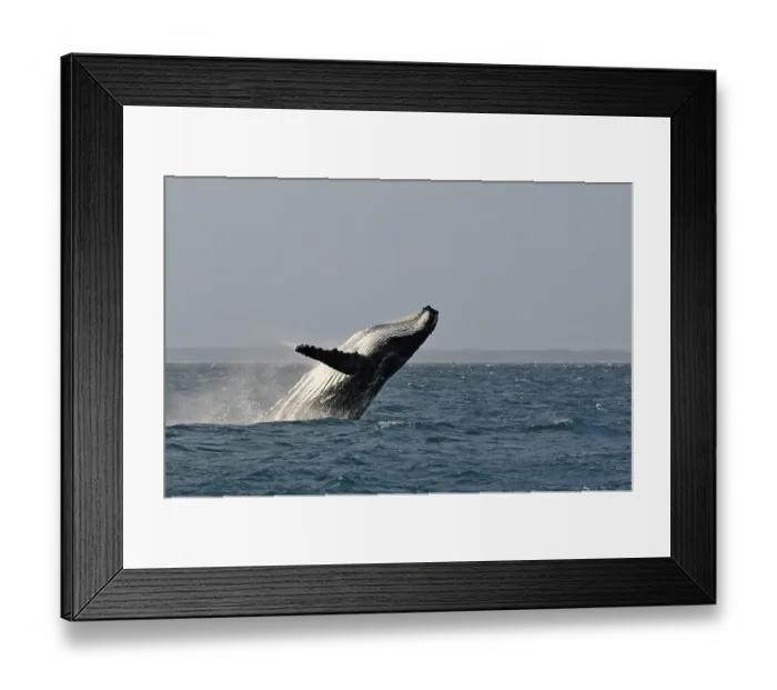 Framed Print : Typical breach, breaching, screw jump
