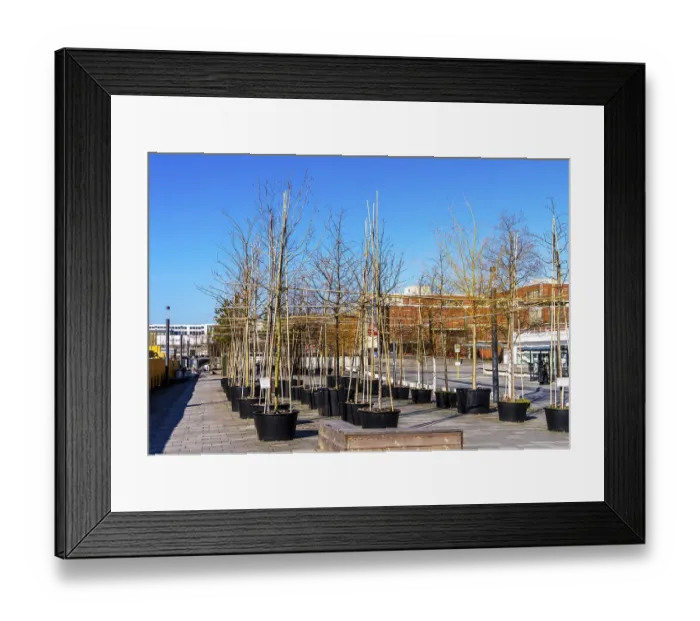 Framed Print : Nursery Kulturforum, open-space garden installation